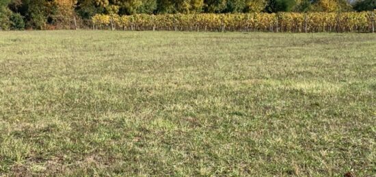 Terrain à bâtir à Brie-sous-Archiac, Nouvelle-Aquitaine